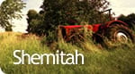 Shemitah