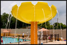 Shul With a Pool Energizes Community With Facilities Geared to Families